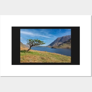 Crummock Water Posters and Art